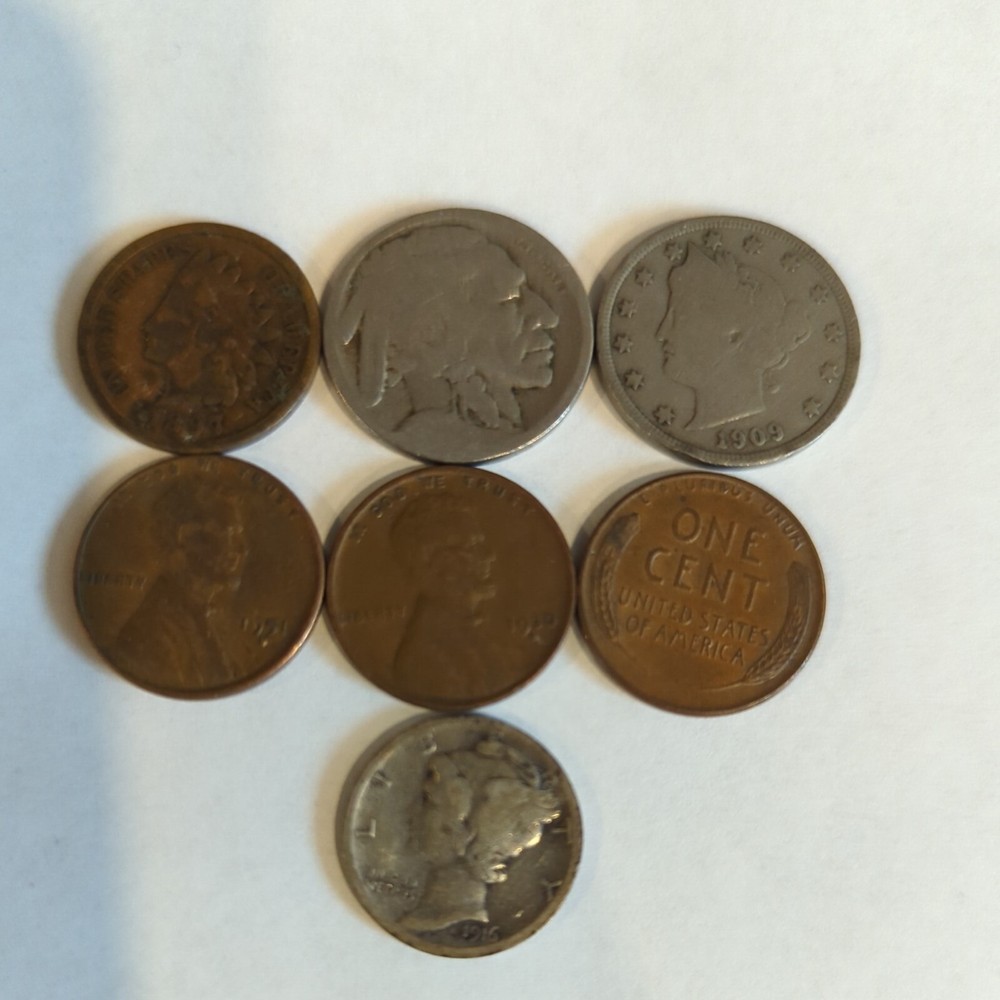 Coin collection starter kit    Read!