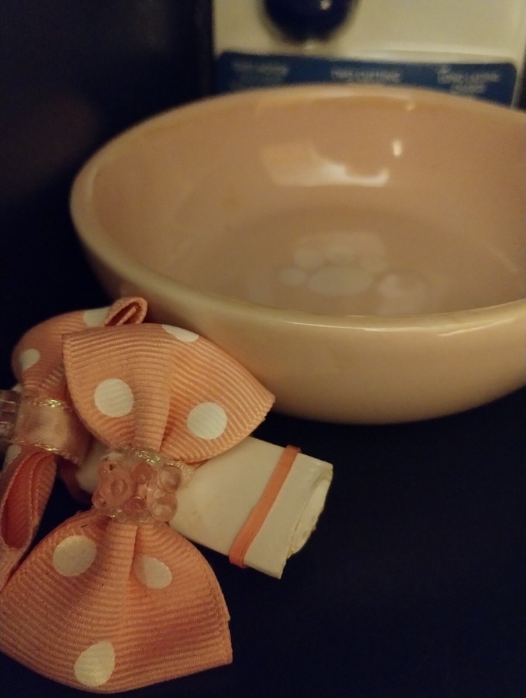 dog supplies pet stuff lot/bundle