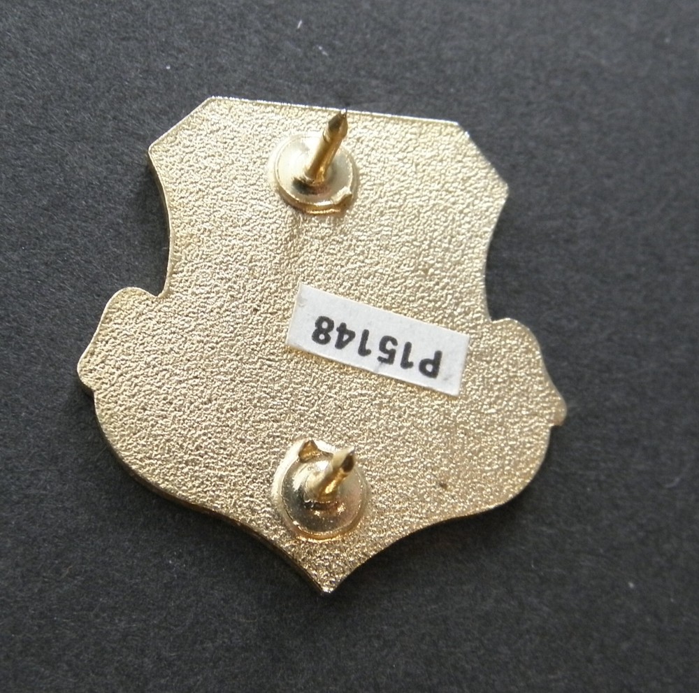 USAF AIR FORCE ELECTRONIC SECURITY COMMAND SHIELD LAPEL PIN BADGE 1 INCH