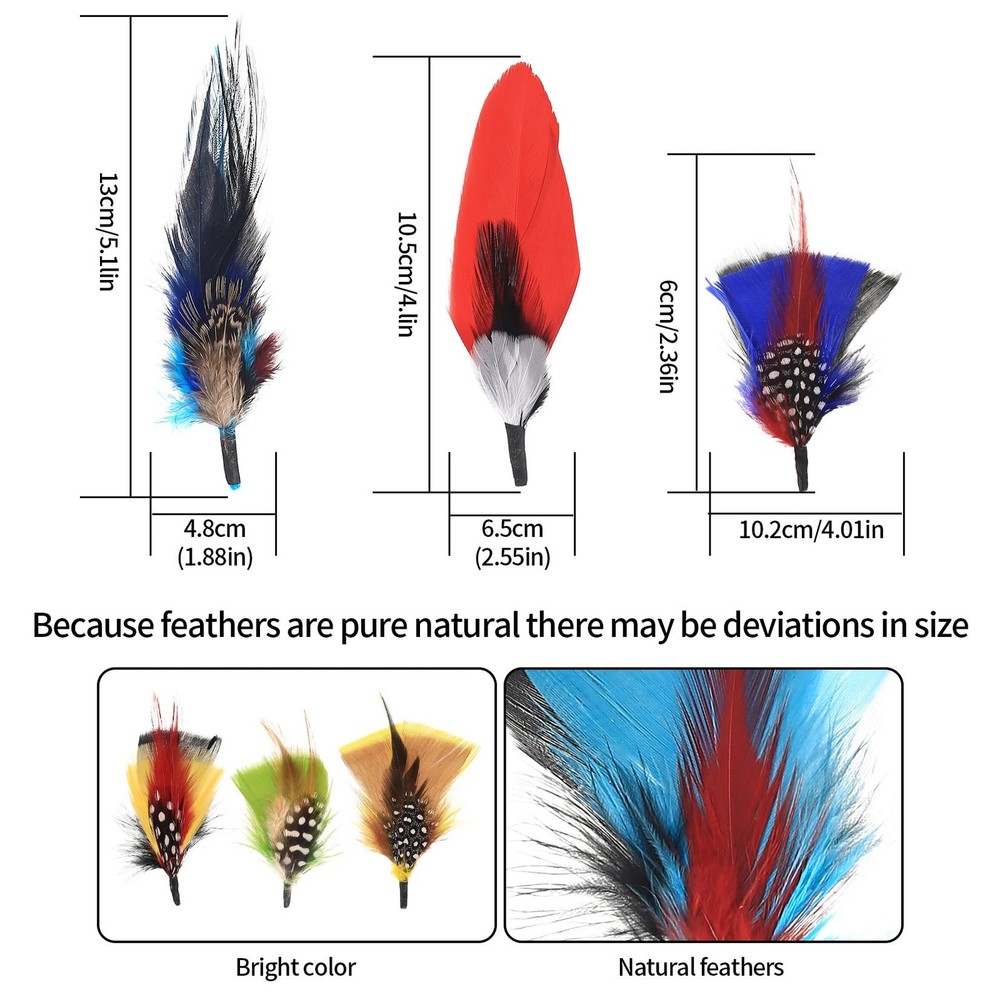 Hat Feathers, 12 Pcs Natural Feathers, Mixed Assorted Cowboy Hats Feathers, C...