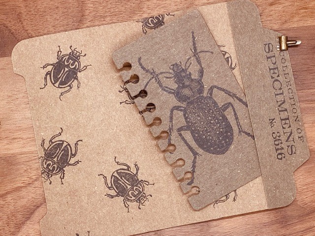 Mini File Folder and torn notebook page cutting dies (set of 5)