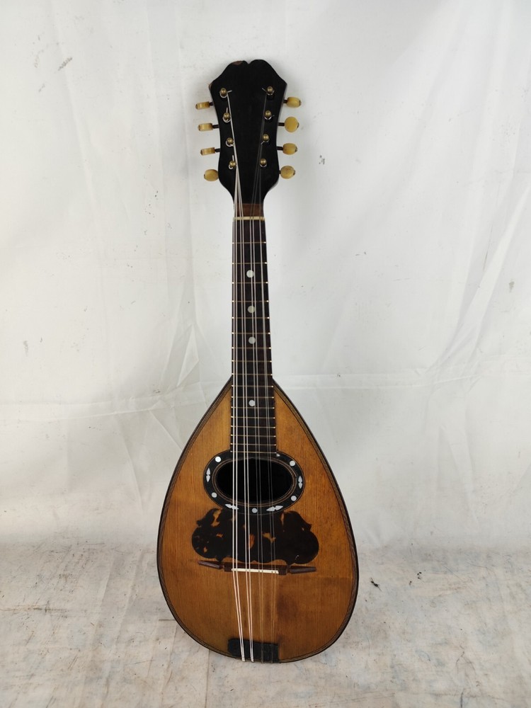 Mandolin 4/4 Carlo Loveri e Son 1901 Naples 曼陀林 만돌린マンドリン