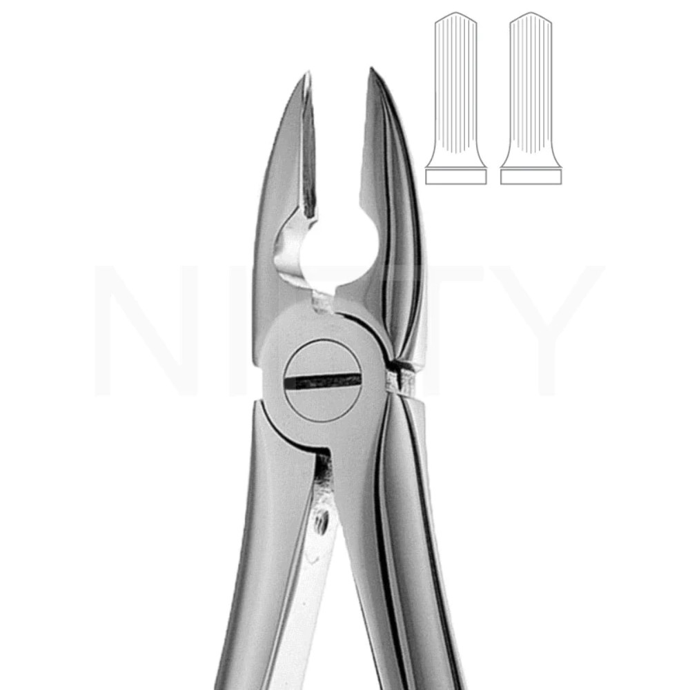 Extracting Forcep English Pattern Mead #MD1