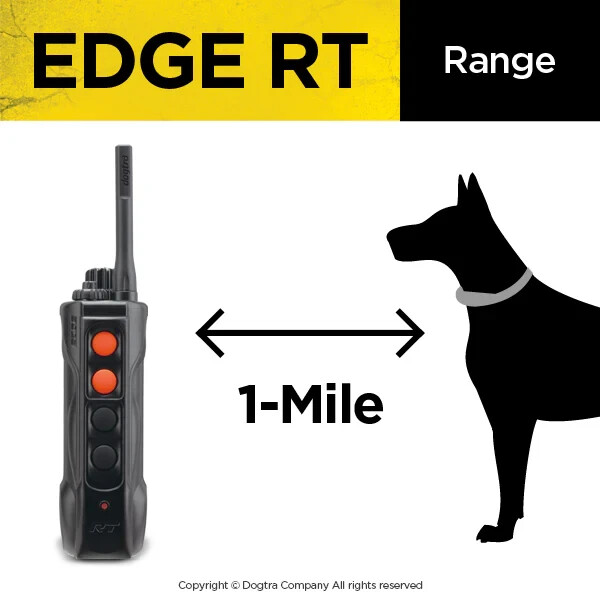 Dogtra EDGE RT Expandable for Elite Performance and Demanding Training Needs