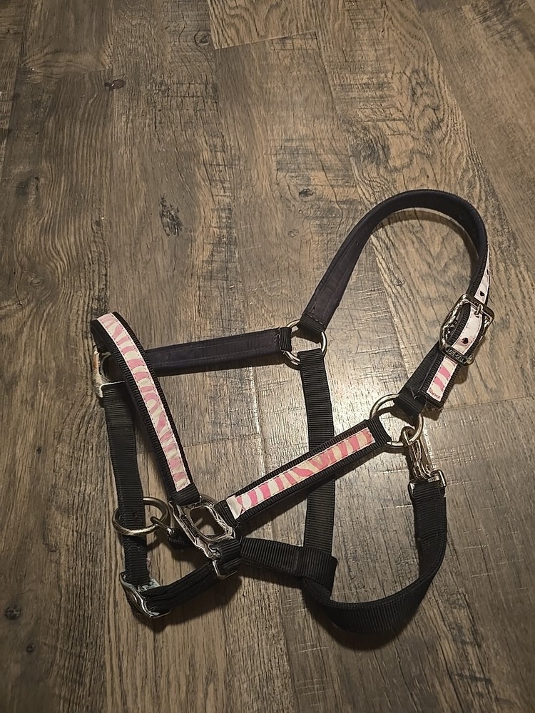 Horse Halter