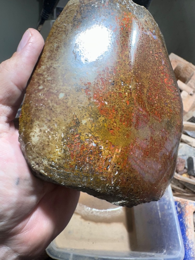 Dinosaur bone polished 3.5 lb large cell specimen.