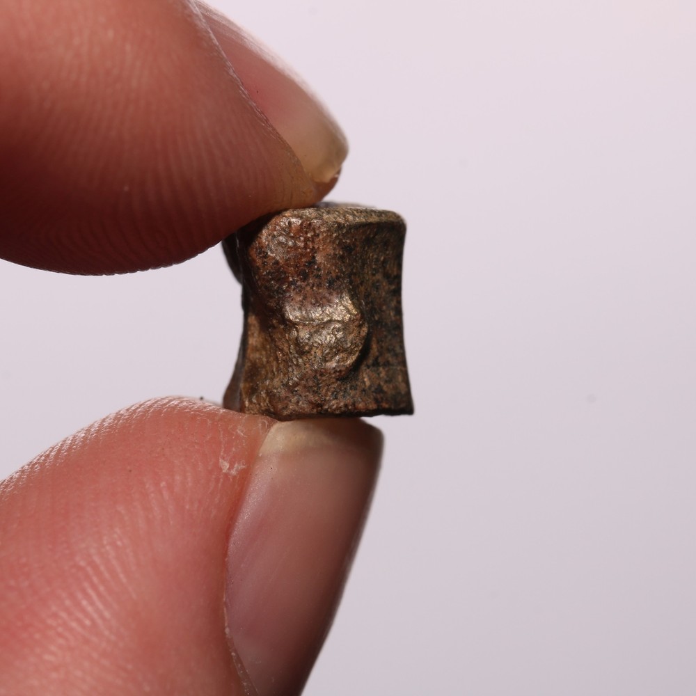 Tiny Champsosaurus Vertebra Dinosaur Age from Hell Creek Formation Cretaceous