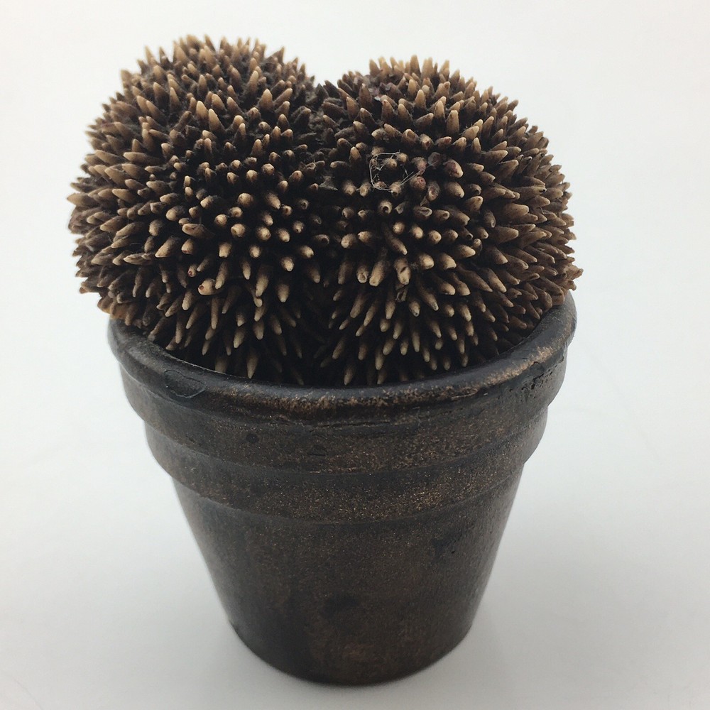 Bowbrook Studios Hedgehogs in Bucket Made in England Miniature