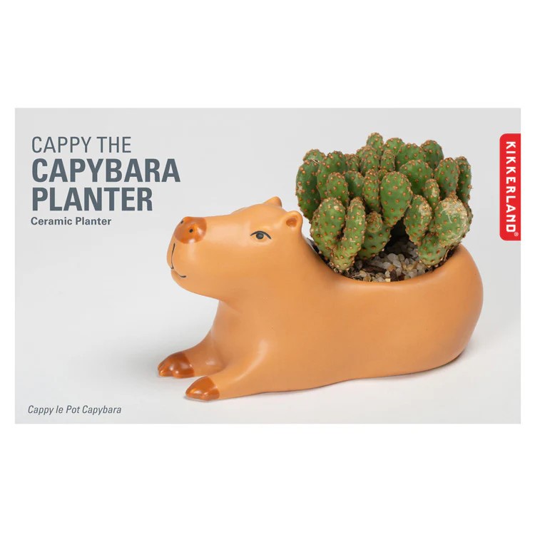 Kikkerland Large Capybara Planter