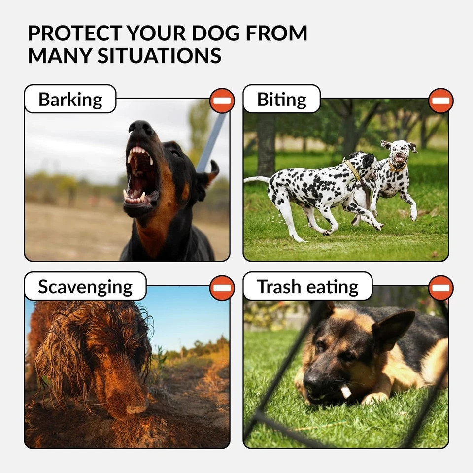 Dog Muzzle German Shepherd Dalmatian Doberman Setter Leather Basket Medium Large