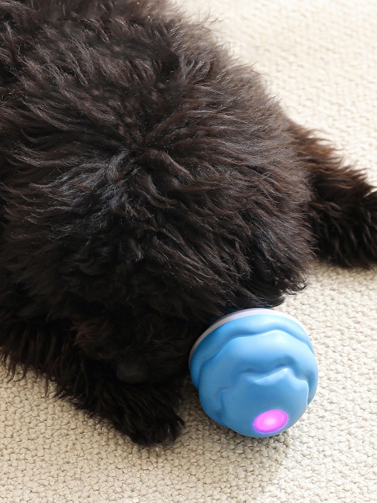 Smart Dog Toys Interactive TeasiKU Ball With Motion Activated Automatic Moving