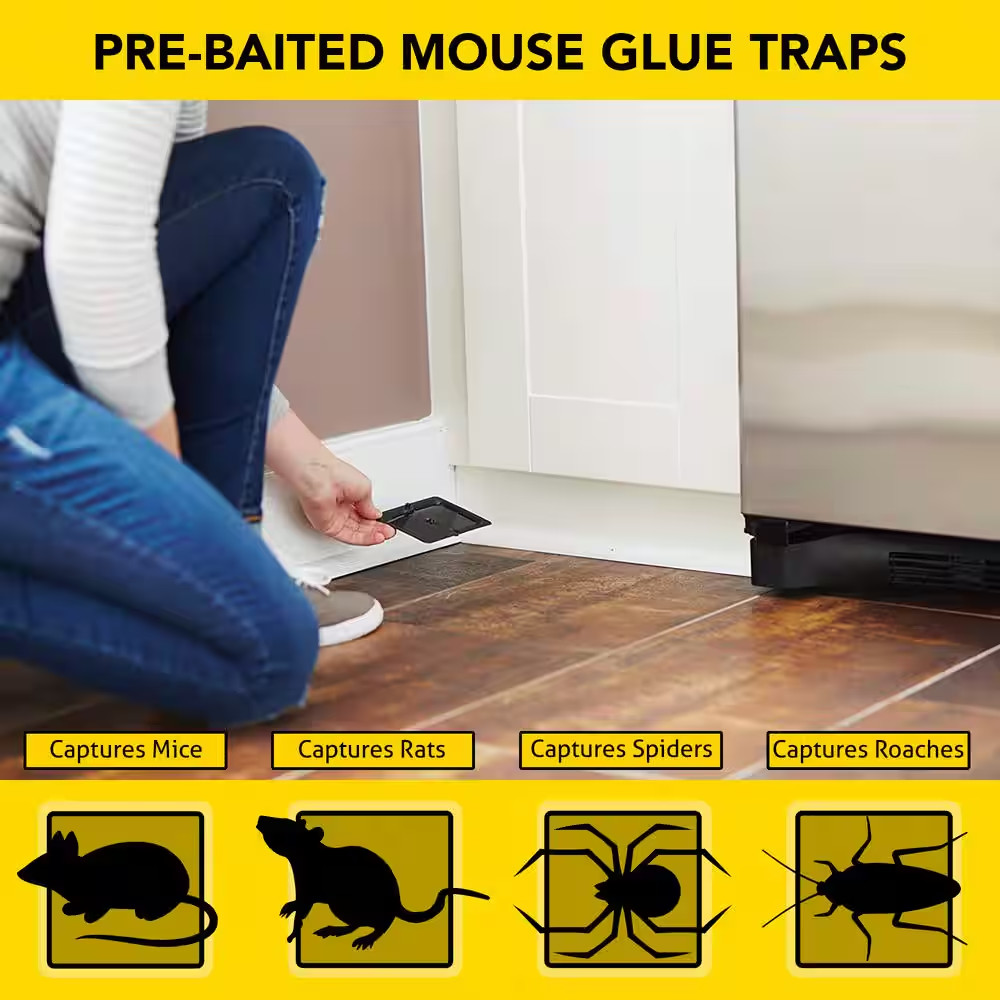 Mouse Glue Traps (4-Pack)
