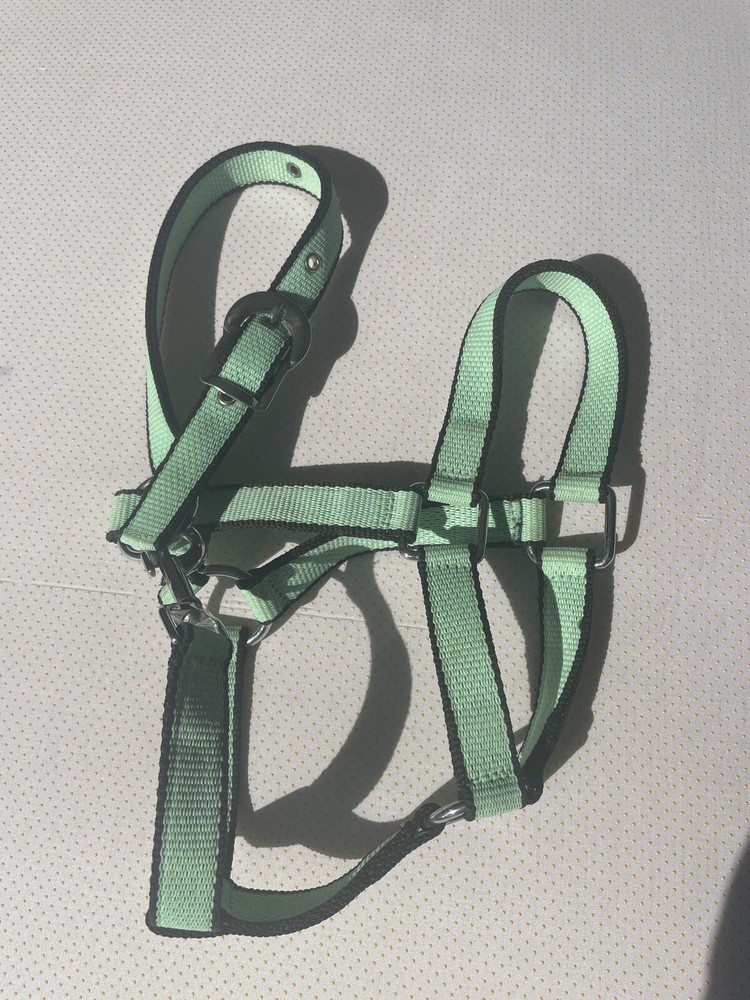 NWT Cob Size Nylon Halter Mint Color