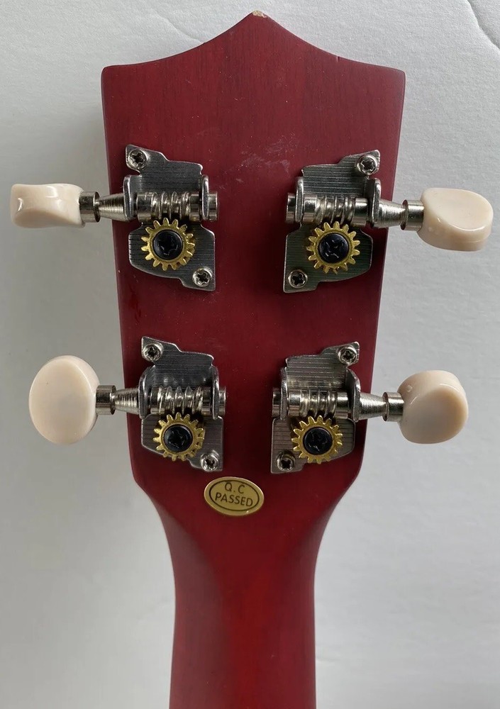 Everjoys Soprano Rainbow Ukulele Beginner Pack (EVUK)