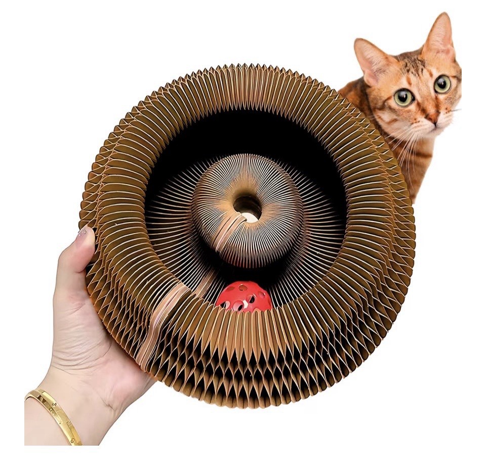 NO BOX Kitty Kurlz Shape-Shifting Fun Cat Toy Interactive w/ Ball Marlene's