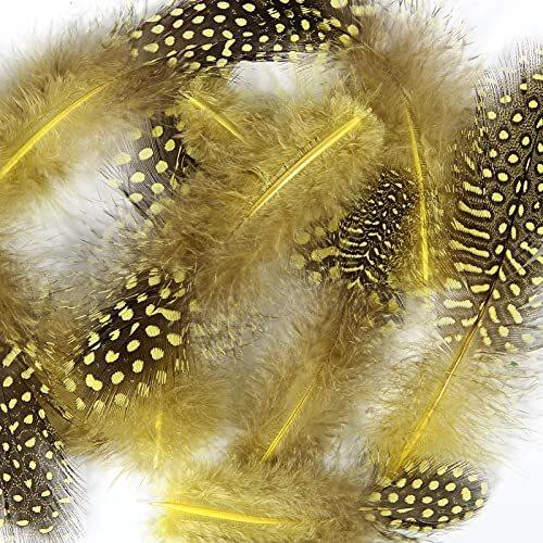 Spotted Feathers 120pcs 2-3inch Small Natural Bulk Guinea Pheasant Feather