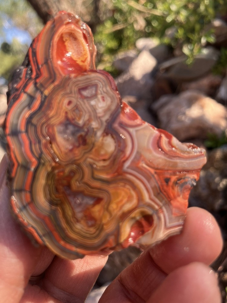 Crazy Lace Agate (End Cut)