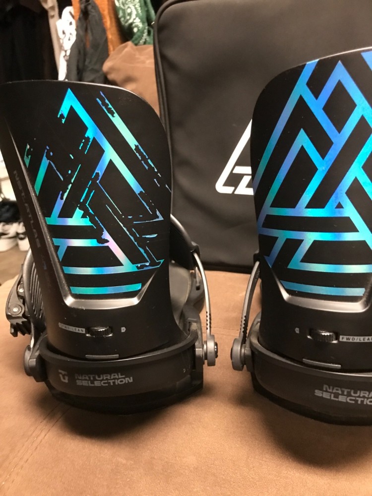 union house natural selection bindings