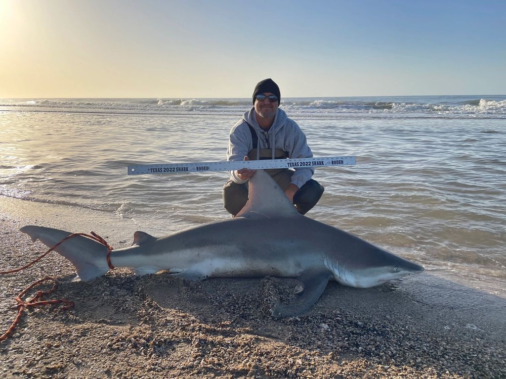 Stinger Series - 25ft Deployment Shark Leader - 600lb Class