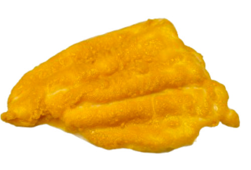 Display Fake Food Prop Catfish