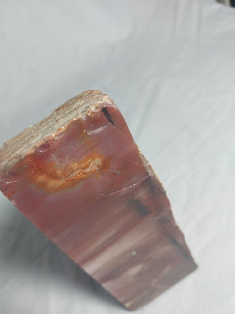 Fossilized Wood Chunk, Petrified Wood