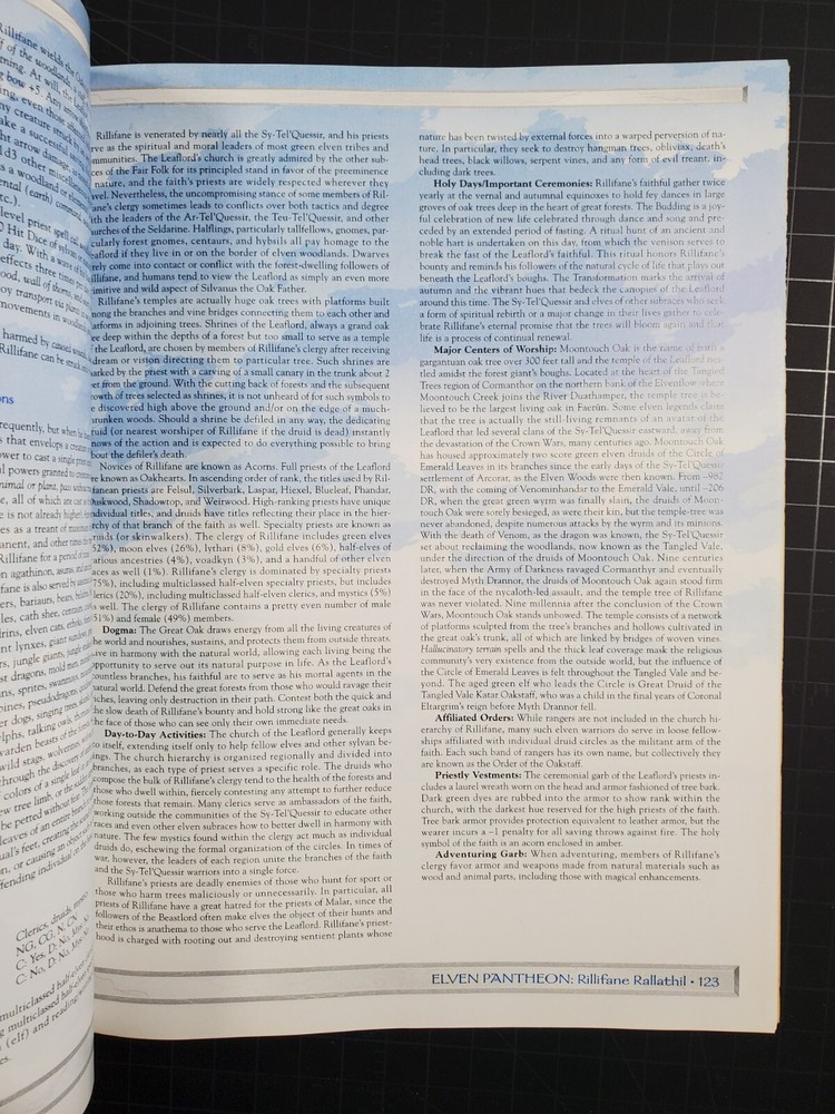 Advanced Dungeons & Dragons AD&D Demihuman Deities Guide 1998