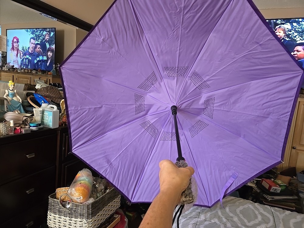 Purple No Drip Inverted Umbrella - Mark Feldstein GR