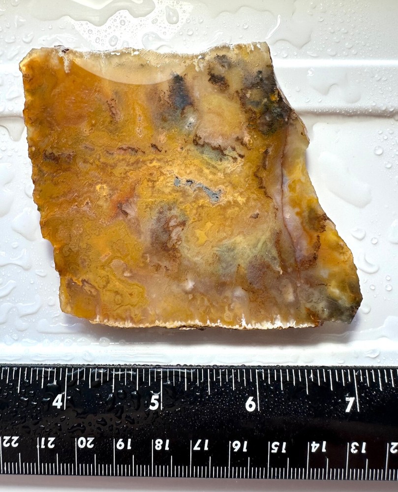 Graveyard Point Plume Agate Slab, 86 grams, Cabbing/Lapidary