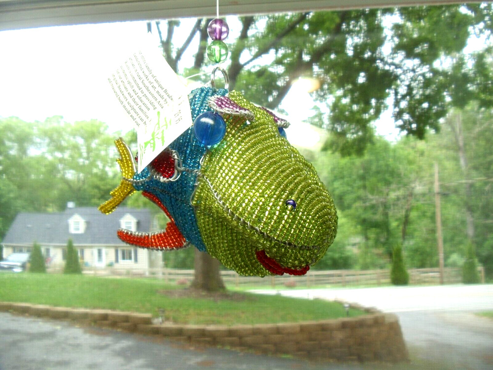 Beaded sea: Bumber Fish