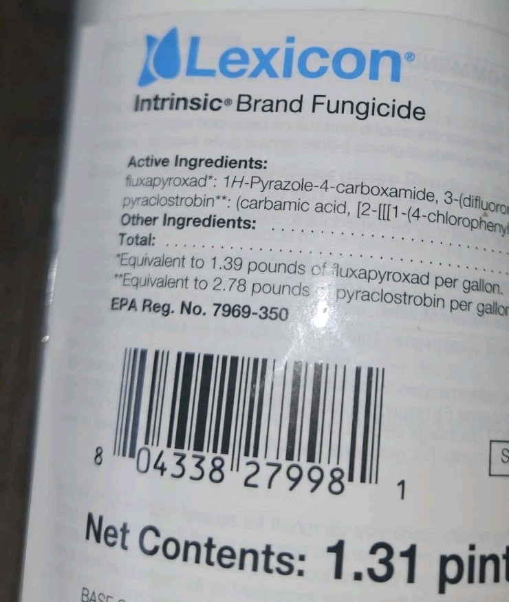 Lexicon 21oz