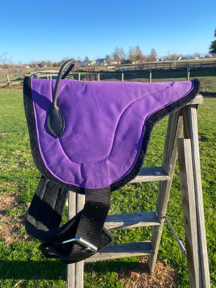 Felt bottom miniature horse bareback pad assorted colors