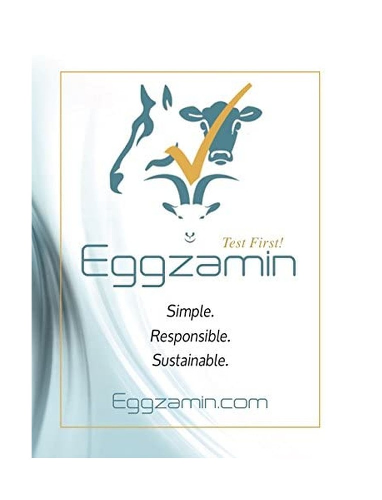 Bundle of 2 McMaster Method Microscope Slides, FEC (Fecal Egg Count) Double C...