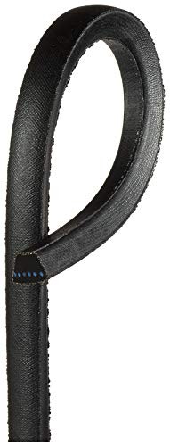 B89 Belt