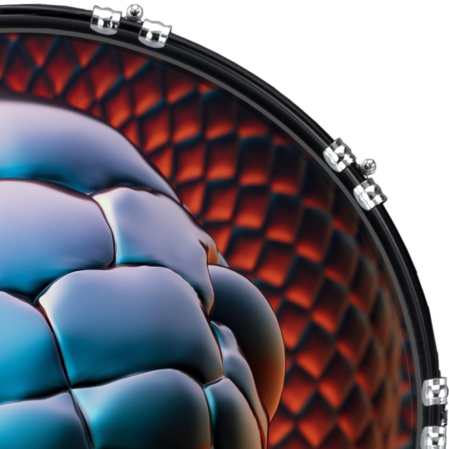 20" Custom Bass Kick Drum Front Head Graphic Graphical Snake 1