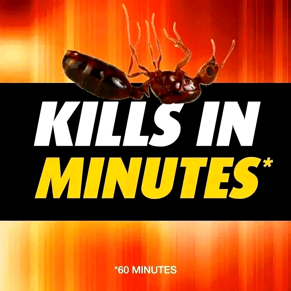 Ortho Orthene Fire Ant Killer1 (Twin Pack)