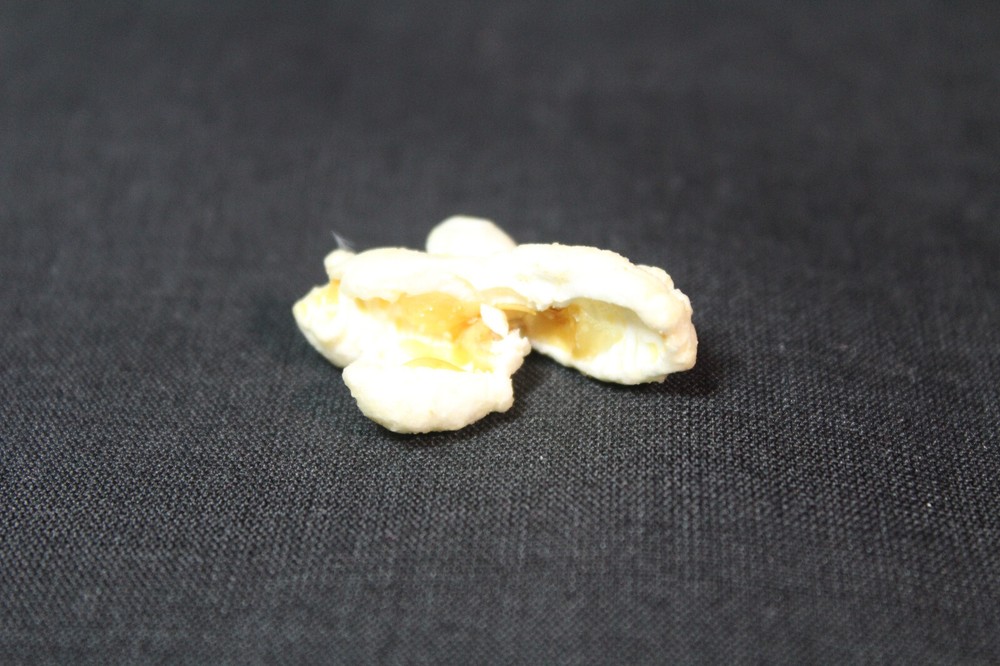 Easter Bunny Rabbit Actual Popcorn Piece Shape WILL NEVER HAPPEN AGAIN!