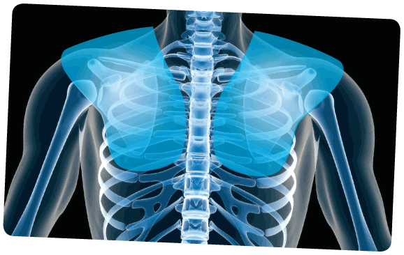 Black Padded Chest Base Layer Buffer for TACTICAL COMBAT RIG VEST