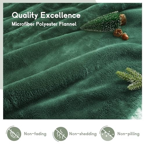 Heated Electric Blanket Queen Size 84''x90'', Dual Controller Soft Flannel