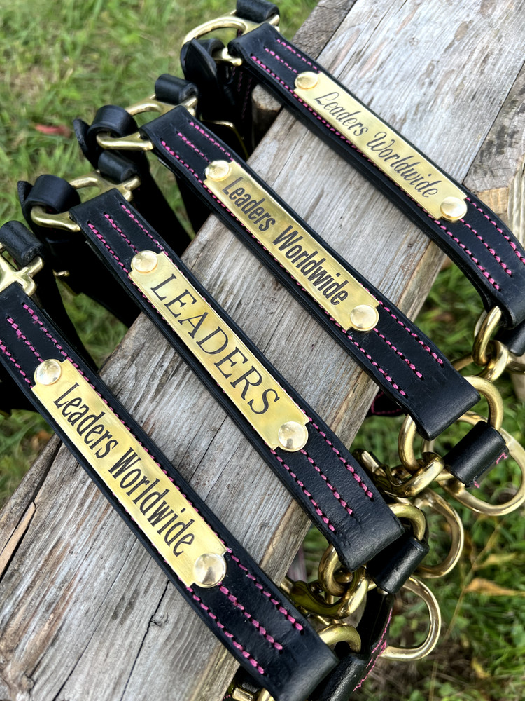 Leaders 1" Black Leather Halter Halter Pink Stitch Solid Brass