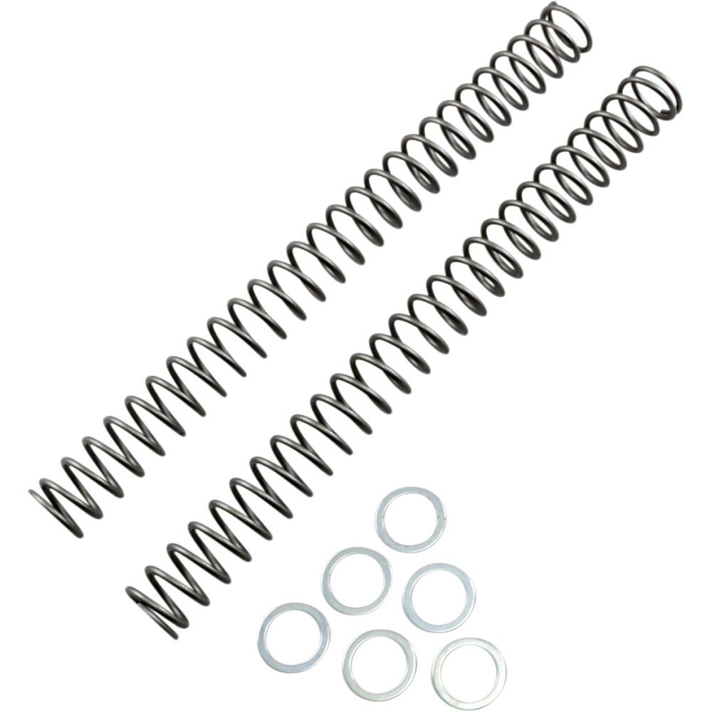 Race Tech Fork Springs - 0.38 kg/mm | FRSP 444738