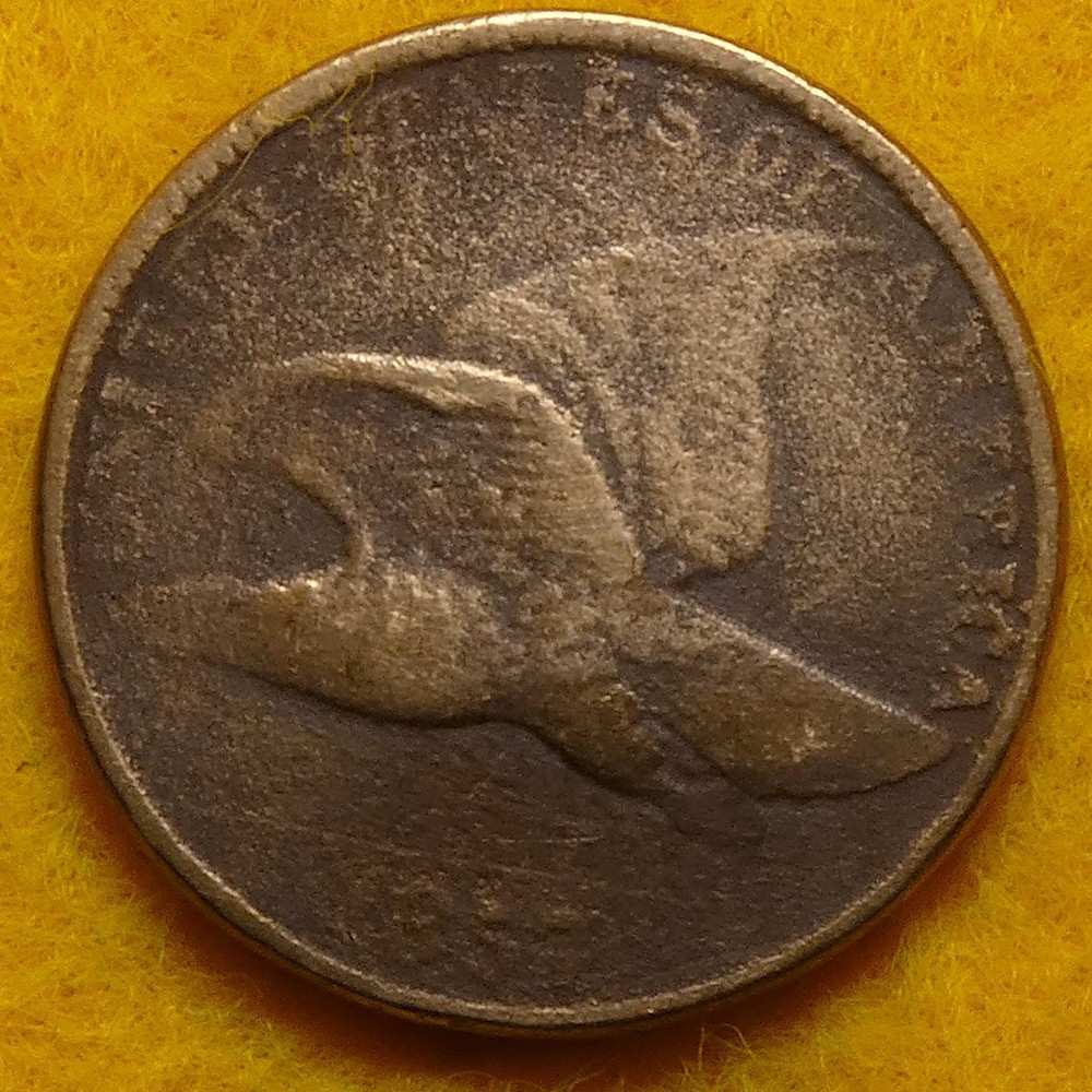 1857 Flying Eagle Cent with some nice feather details showing