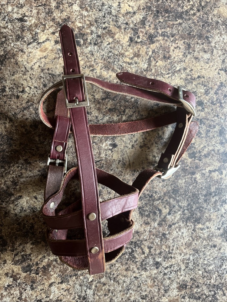 Leather Dog Muzzle