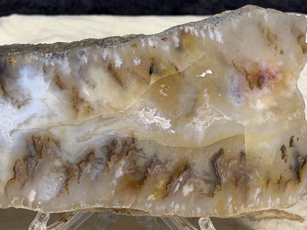 Graveyard Point Plume Agate Slab, Lot #297