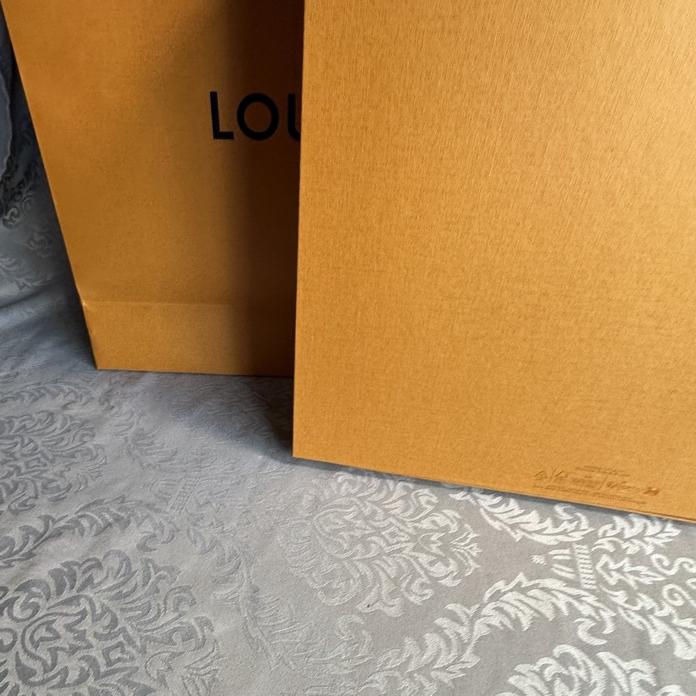 Authentic LOUIS VUITTON Large Empty Gift Bag & Medium Box Empty Packaging