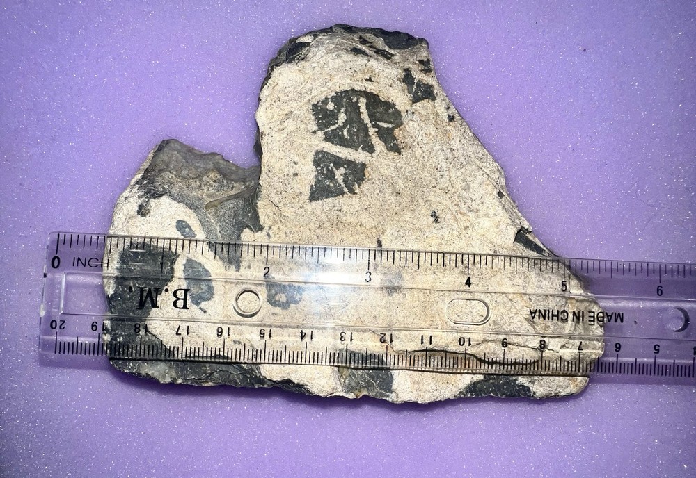 ❤️Heart Shaped Rock Large 1.582 lbs.