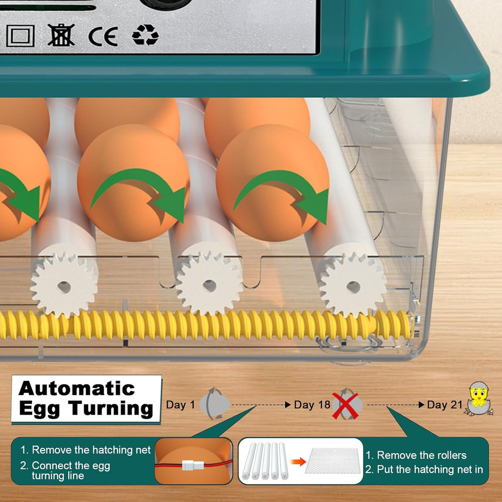 16 Eggs Incubators for Hatching Eggs, Egg Incubator with Automatic Egg Turning a