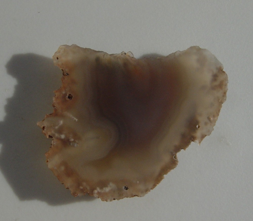Malawi Agate Lapidary Slab T1010