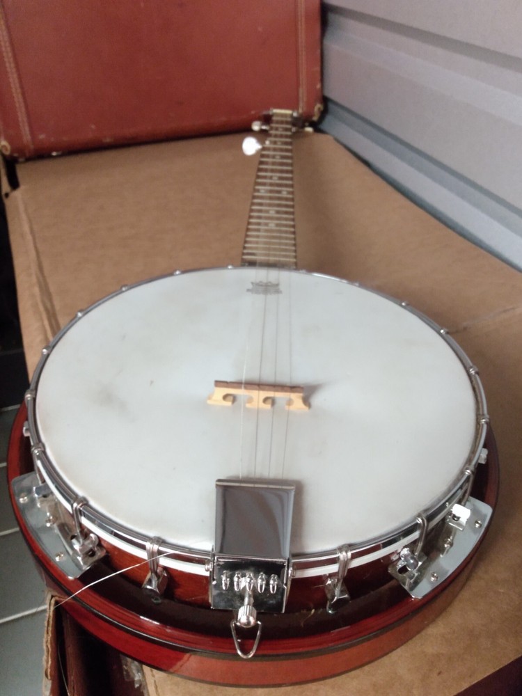 Banjo Danville Remo 5 Strings