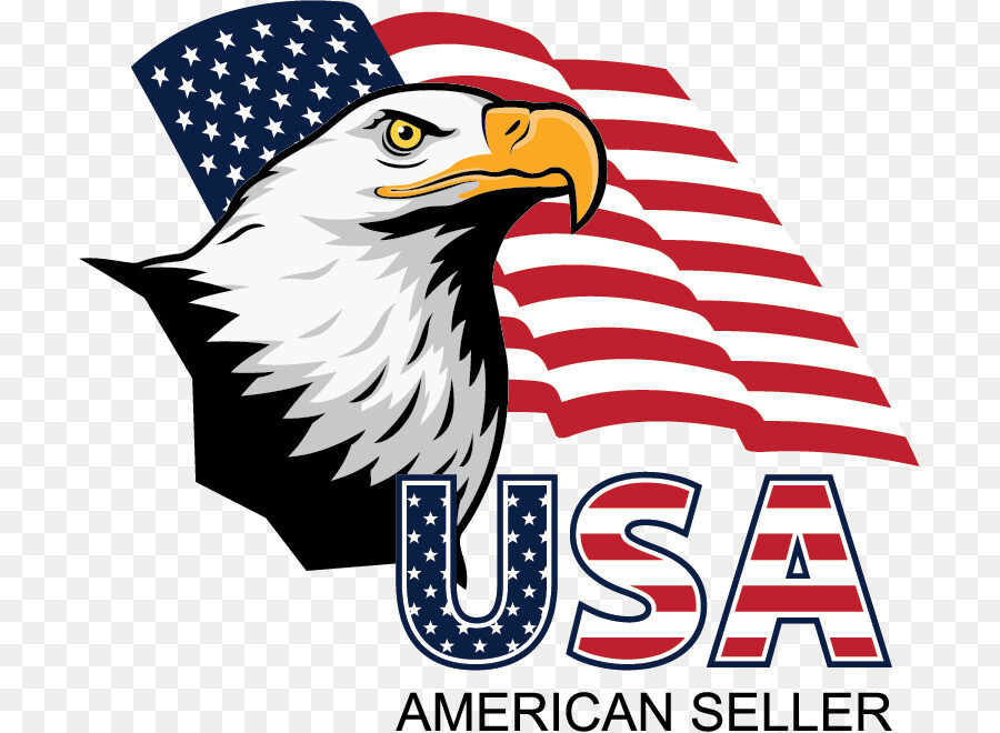 TEXAS BIG 2x3ft STATE FLAG NEW