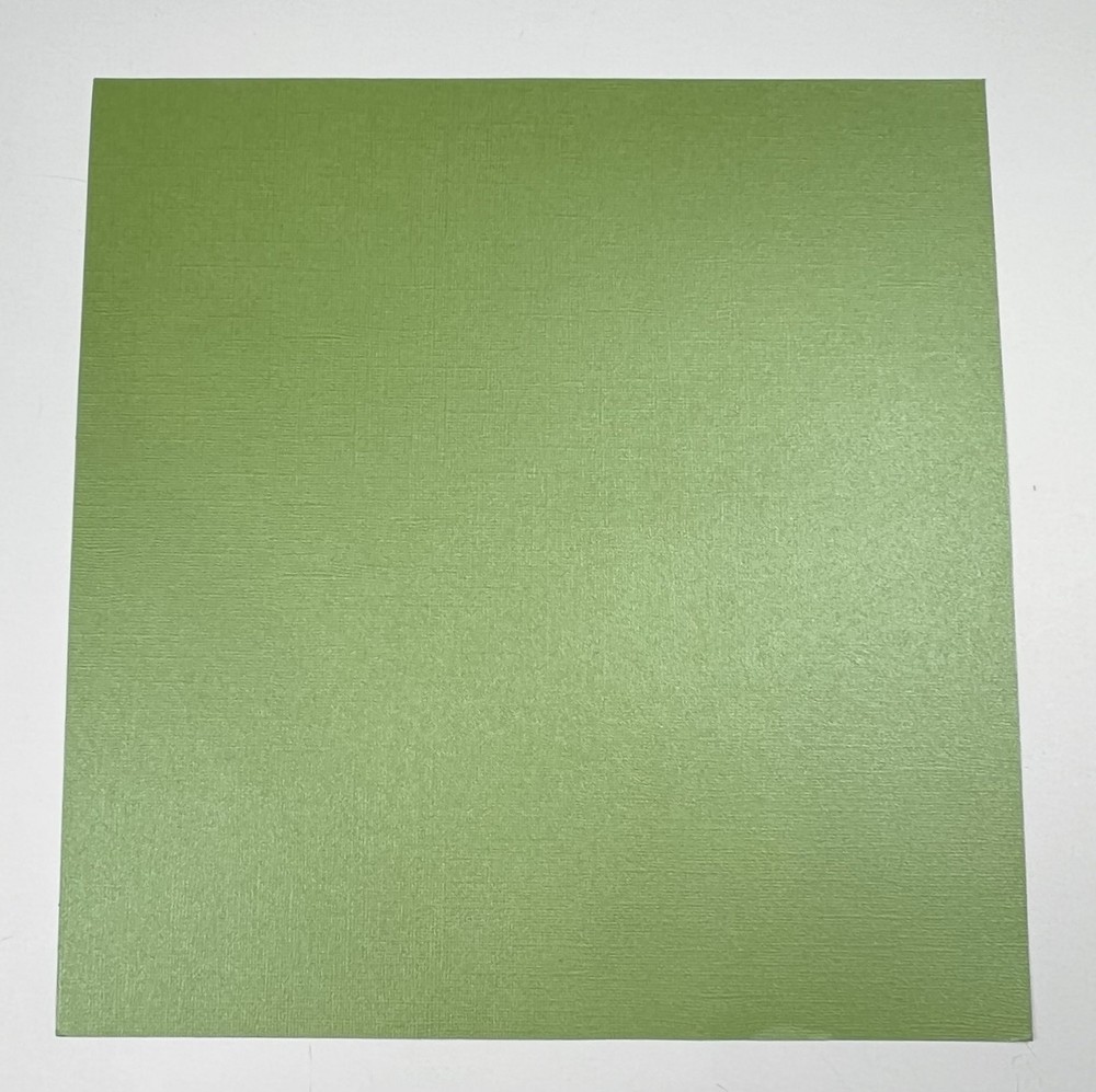 12 x 12 Scrapbook Page Kit 3 Solid Sheets 1 Print Pre-made Page Pieces Sunshine